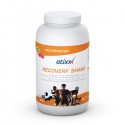 etixx recovery shake 1500 g