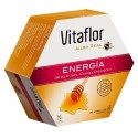 Vitaflor Jalea Real Energia Ampolla Bebible 200ml 20 Amp